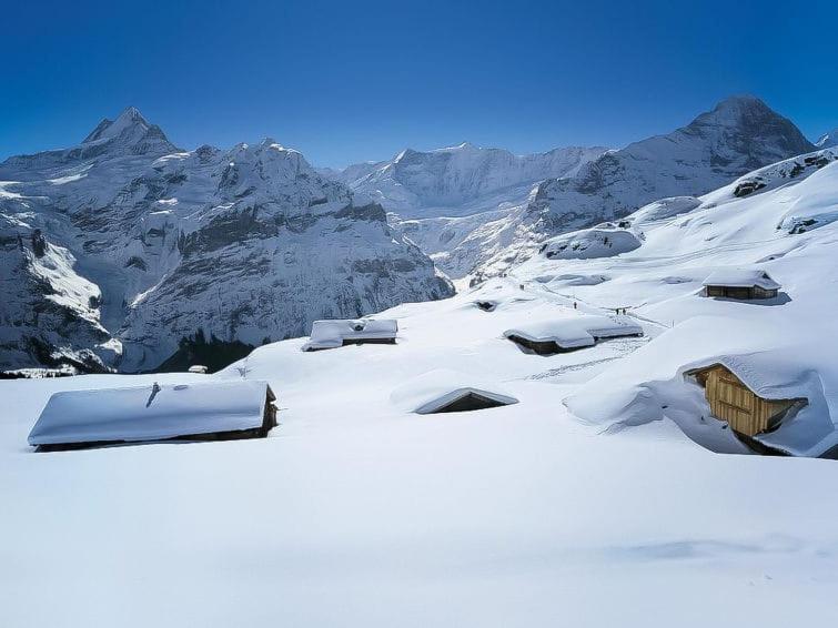 Chalet Aphrodite West Lägenhet Grindelwald Exteriör bild